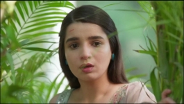 Suman Indori - 26th December 2024